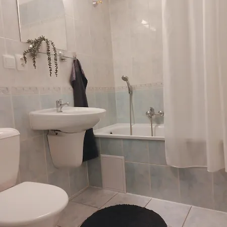 Morava 309 Safarikova 855