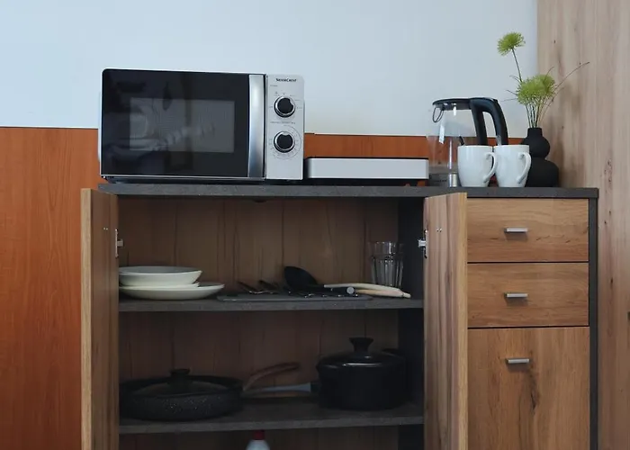 Ξενοδοχείο Morava 309 Safarikova 855 *